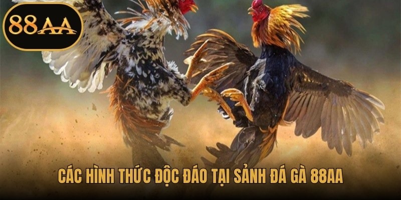 Các hình thức độc đáo tại sảnh đá gà 88AA 
